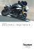 speed triple r