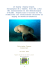 Dugong dugon - Agence des aires marines protégées