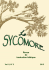 Le Sycomore 8.2