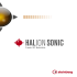HALion Sonic