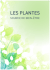 les plantes - L`Essentiel
