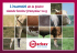 L`essentiel de la filière viande bovine française 2015