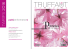 PUBLI_TARIFS_Truffaut 2015_qxp