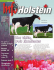 Pour - Holstein Canada