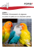 FORS – Oiseaux d`ornement et pigeons