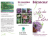 brochure du jardin des lilas