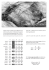 D`après fichiers sur papier Fine Art (308g/m2). Encre Ultrachrome
