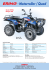 - Motorroller / Quad