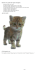 Point de croix: grille Chat créée à partir d`une photo