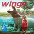 Wings - Voyage Vasco