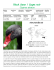 Black Swan Info Sheet 2016