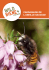Parrainage de l`abeille sauvage - WWF-Shop
