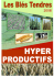 les blés hyper-productifs - Sem