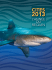 CITES 2013: L`année de Requin