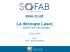 20150605-SoFAB-decoupe