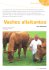 Vaches allaitantes - Association Wallonne de l`Elevage