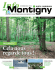 Montigny notre commune-N°315-octobre 2016 (pdf