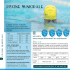 Consultez la Programmation des cours de natation - Saint