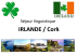 Projet séjour linguistique 2017 Cork Irlande