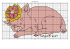 bebe cochon fille - Battybat