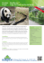 RootBarrier® 420 UV Cage du Panda au Zoo de Berlin Télécharger