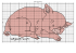 bebe cochon garcon - Battybat