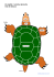 Un reptile : la tortue terrestre Vue de dessus