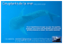 Ces géants de la merWHALE SHARK ODYSSEY