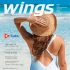 wings - Sunwing