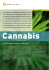 Focus Cannabis - Stop