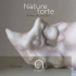Nature torte - Collection Gallery