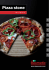 Pizza stone