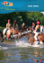 04100139 CDT cheval 2005 - Balades et randonnées dans le tarn