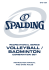 SP35-7206 Spalding® Recreational VB/Badminton Combo