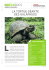 La tortue géante des Galapagos (PDF 783.78 Ko