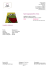 Kermit la grenouille 168 x 115 cm