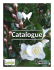 Catalogue - Jardinerie d`Embaloge