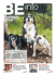 BEinfo Numéro 4 / 2016 - Le magazine du personnel de l
