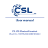 User manual - CSL-Computer FTP service