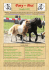 ponypost 3/2015 - Shetlandpony Zuchtverband