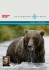 Alaska – Unter Bären