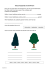 Baumarten im Wald