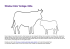 Window Color Vorlage: Kühe