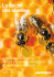 Le déclin des abeilles