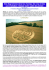 Les diagrammes de champ ou crop circles