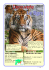 Le tigre - Site CP Clic