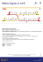 Metro lignes A et B web_2014-10-20b