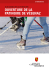 Flyer de la patinoire - Collonge