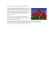 La tulipe rouge, emblème de la maladie de Parkinson