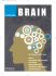 "Brain", Medipage